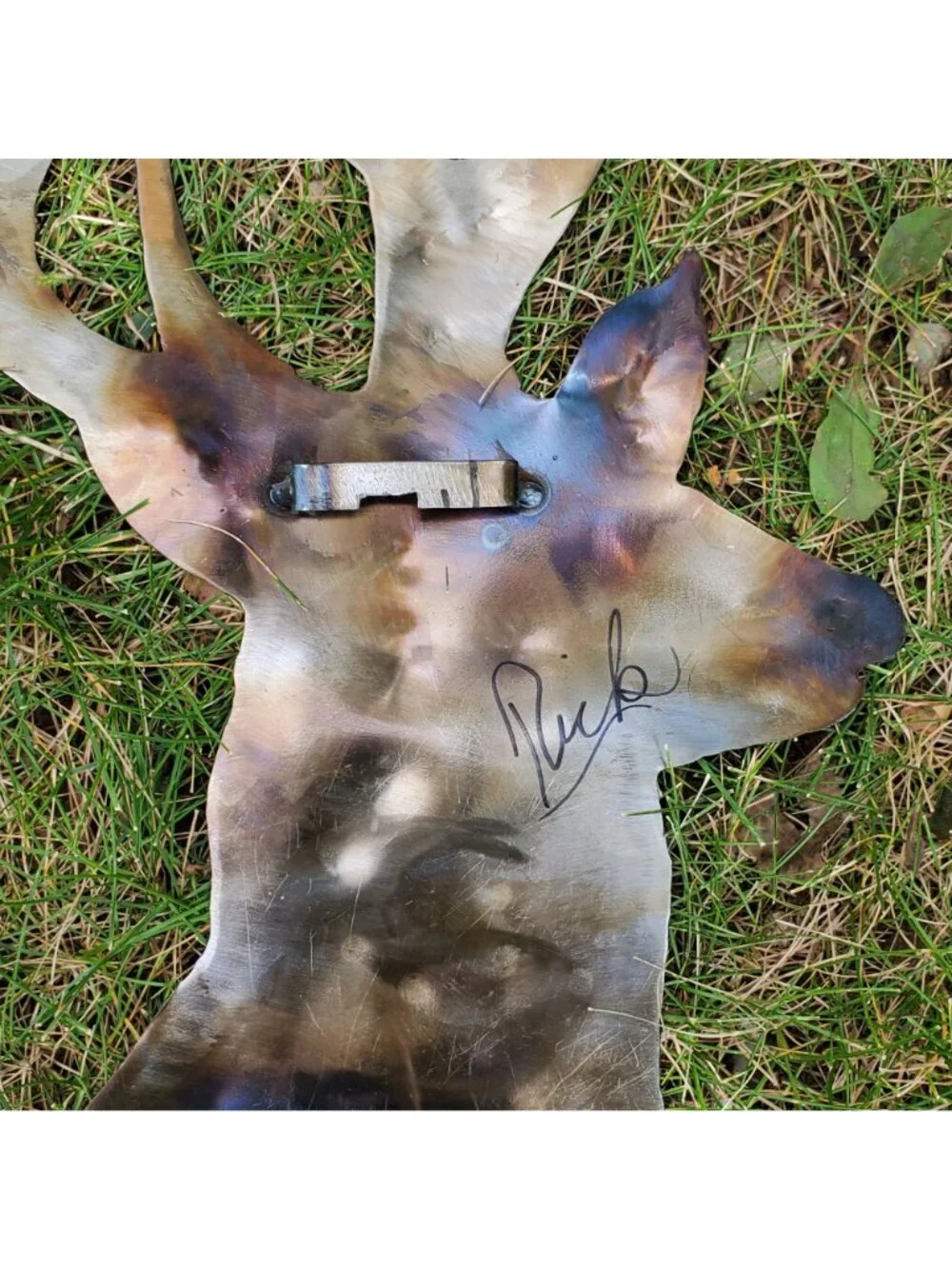N/A white tailed